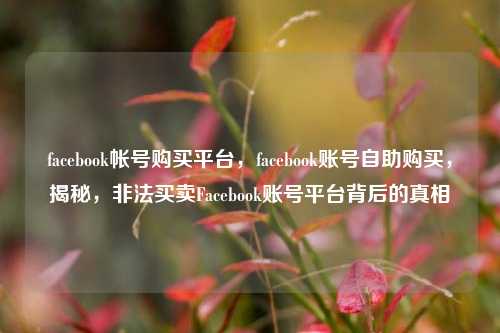 facebook帐号购买平台，facebook账号自助购买，揭秘，非法买卖Facebook账号平台背后的真相