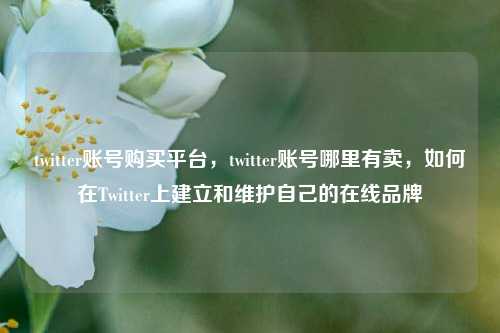 twitter账号购买平台，twitter账号哪里有卖，如何在Twitter上建立和维护自己的在线品牌