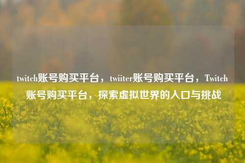 twitch账号购买平台，twiiter账号购买平台，Twitch 账号购买平台，探索虚拟世界的入口与挑战