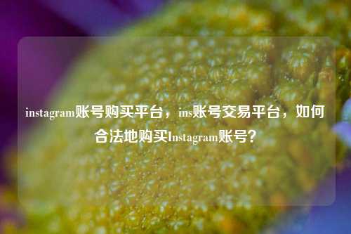 instagram账号购买平台，ins账号交易平台，如何合法地购买Instagram账号？