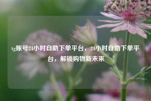 tg账号24小时自助下单平台，24小时自助下单平台，解锁购物新未来