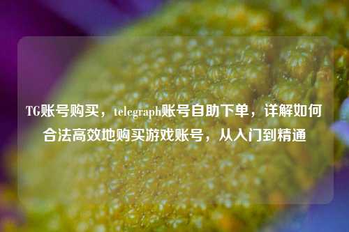 TG账号购买，telegraph账号自助下单，详解如何合法高效地购买游戏账号，从入门到精通