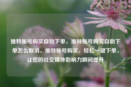 推特账号购买自助下单，推特账号购买自助下单怎么取消，推特账号购买，轻松一键下单，让您的社交媒体影响力瞬间提升