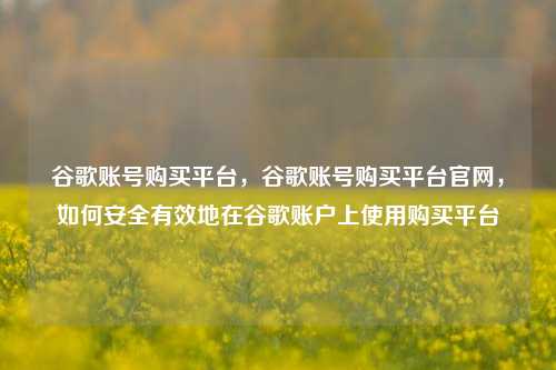 谷歌账号购买平台，谷歌账号购买平台官网，如何安全有效地在谷歌账户上使用购买平台