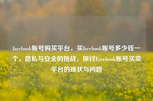 facebook帐号购买平台，买facebook账号多少钱一个，隐私与安全的挑战，探讨Facebook账号买卖平台的现状与问题