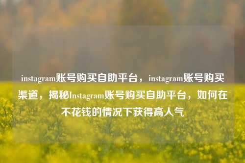instagram账号购买自助平台，instagram账号购买渠道，揭秘Instagram账号购买自助平台，如何在不花钱的情况下获得高人气
