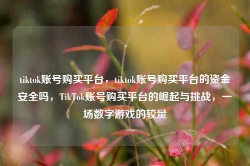 tiktok账号购买平台，tiktok账号购买平台的资金安全吗，TikTok账号购买平台的崛起与挑战，一场数字游戏的较量