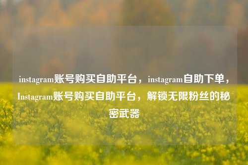 instagram账号购买自助平台，instagram自助下单，Instagram账号购买自助平台，解锁无限粉丝的秘密武器