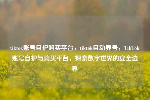 tiktok账号自护购买平台，tiktok自动养号，TikTok账号自护与购买平台，探索数字世界的安全边界
