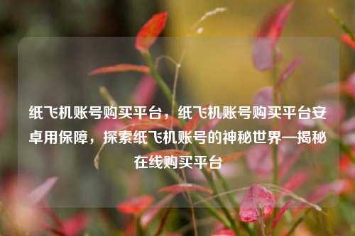 纸飞机账号购买平台，纸飞机账号购买平台安卓用保障，探索纸飞机账号的神秘世界—揭秘在线购买平台