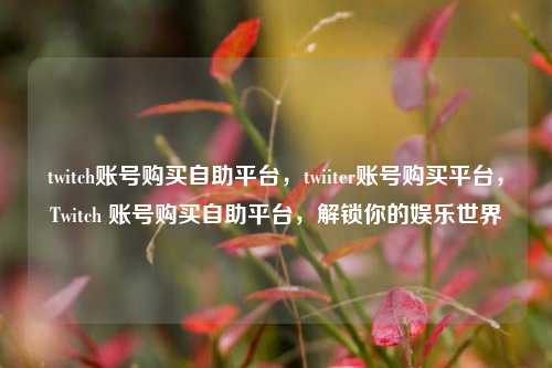 twitch账号购买自助平台，twiiter账号购买平台，Twitch 账号购买自助平台，解锁你的娱乐世界