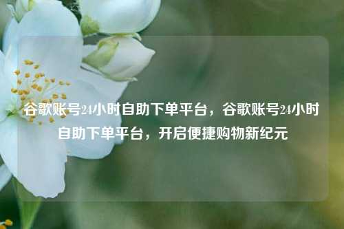 谷歌账号24小时自助下单平台，谷歌账号24小时自助下单平台，开启便捷购物新纪元