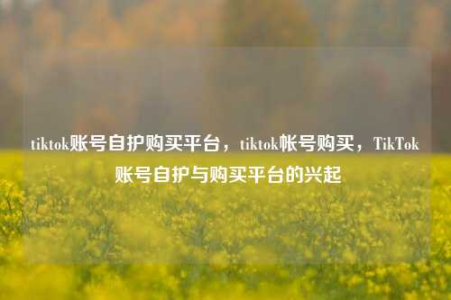 tiktok账号自护购买平台，tiktok帐号购买，TikTok 账号自护与购买平台的兴起