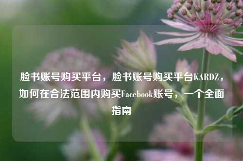 脸书账号购买平台，脸书账号购买平台KARDZ，如何在合法范围内购买Facebook账号，一个全面指南