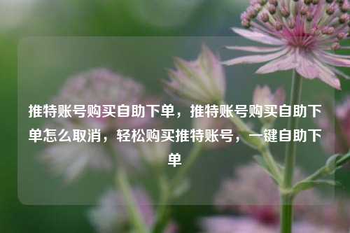 推特账号购买自助下单，推特账号购买自助下单怎么取消，轻松购买推特账号，一键自助下单