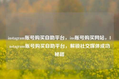 instagram账号购买自助平台，ins账号购买网站，Instagram账号购买自助平台	，解锁社交媒体成功秘籍  第1张