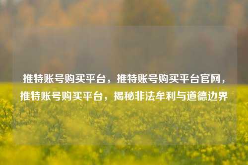 推特账号购买平台，推特账号购买平台官网，推特账号购买平台，揭秘非法牟利与道德边界