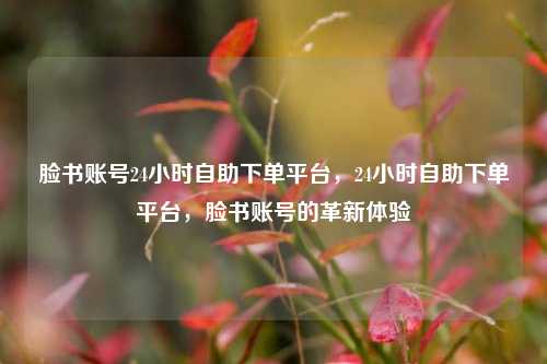 脸书账号24小时自助下单平台，24小时自助下单平台，脸书账号的革新体验