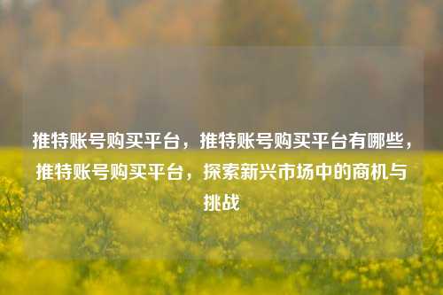 推特账号购买平台，推特账号购买平台有哪些，推特账号购买平台，探索新兴市场中的商机与挑战