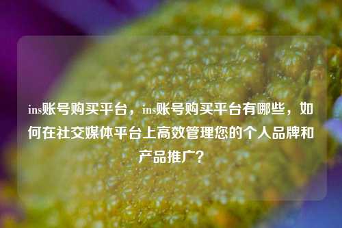 ins账号购买平台，ins账号购买平台有哪些，如何在社交媒体平台上高效管理您的个人品牌和产品推广？