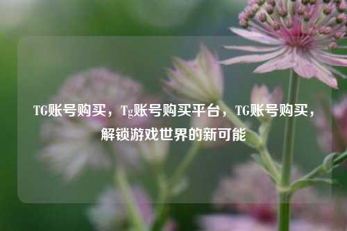 TG账号购买，Tg账号购买平台，TG账号购买，解锁游戏世界的新可能