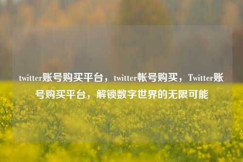 twitter账号购买平台，twitter帐号购买，Twitter账号购买平台，解锁数字世界的无限可能