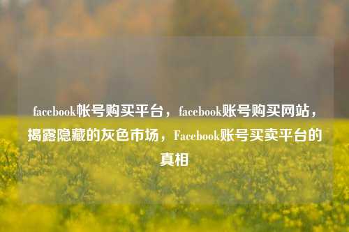 facebook帐号购买平台，facebook账号购买网站，揭露隐藏的灰色市场，Facebook账号买卖平台的真相