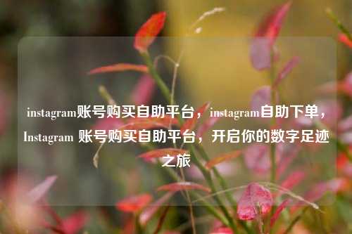 instagram账号购买自助平台，instagram自助下单，Instagram 账号购买自助平台，开启你的数字足迹之旅