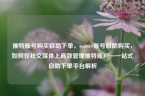 推特账号购买自助下单，twitter账号自助购买，如何在社交媒体上高效管理推特账户—一站式自助下单平台解析