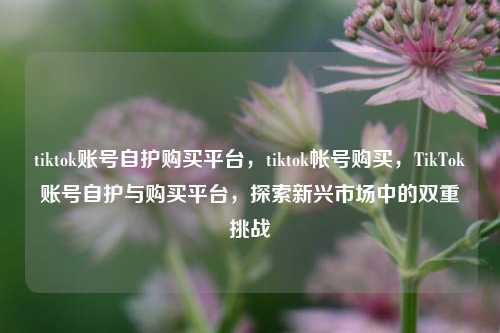 tiktok账号自护购买平台，tiktok帐号购买，TikTok账号自护与购买平台，探索新兴市场中的双重挑战