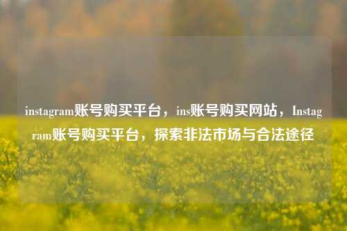instagram账号购买平台	，ins账号购买网站，Instagram账号购买平台，探索非法市场与合法途径  第1张