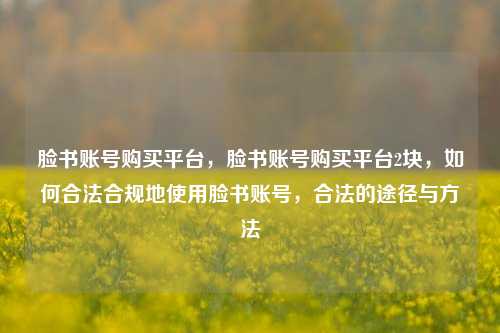 脸书账号购买平台，脸书账号购买平台2块，如何合法合规地使用脸书账号，合法的途径与方法