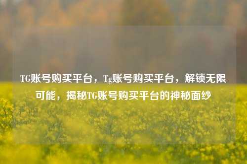 TG账号购买平台，Tg账号购买平台，解锁无限可能，揭秘TG账号购买平台的神秘面纱