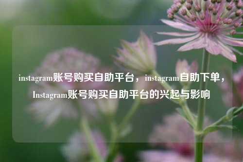 instagram账号购买自助平台，instagram自助下单，Instagram账号购买自助平台的兴起与影响