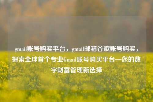 gmail账号购买平台，gmail邮箱谷歌账号购买，探索全球首个专业Gmail账号购买平台—您的数字财富管理新选择