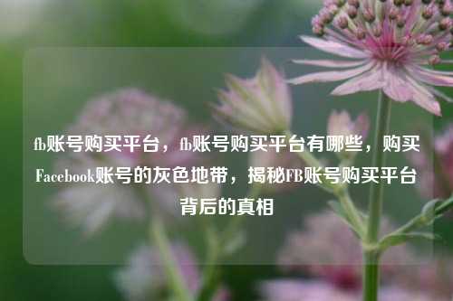 fb账号购买平台，fb账号购买平台有哪些，购买Facebook账号的灰色地带，揭秘FB账号购买平台背后的真相