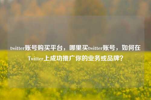twitter账号购买平台，哪里买twitter账号，如何在Twitter上成功推广你的业务或品牌？