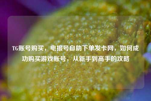 TG账号购买，电报号自助下单发卡网，如何成功购买游戏账号，从新手到高手的攻略