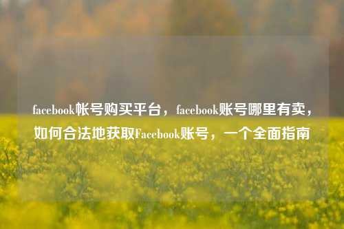 facebook帐号购买平台，facebook账号哪里有卖，如何合法地获取Facebook账号，一个全面指南