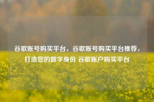 谷歌账号购买平台，谷歌账号购买平台推荐，打造您的数字身份 谷歌账户购买平台