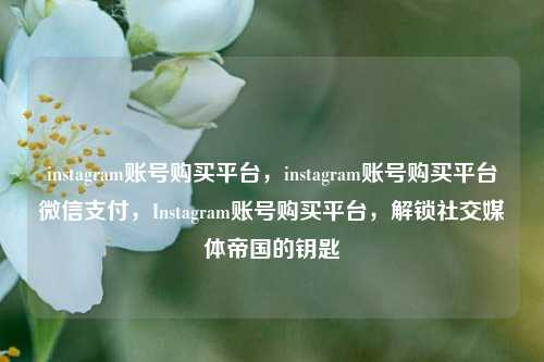 instagram账号购买平台，instagram账号购买平台微信支付，Instagram账号购买平台，解锁社交媒体帝国的钥匙