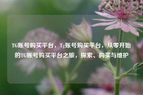 TG账号购买平台，Tg账号购买平台，从零开始的TG账号购买平台之旅，探索、购买与维护