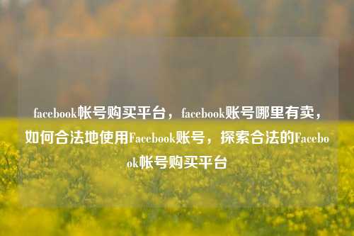 facebook帐号购买平台，facebook账号哪里有卖，如何合法地使用Facebook账号，探索合法的Facebook帐号购买平台