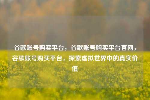 谷歌账号购买平台，谷歌账号购买平台官网，谷歌账号购买平台，探索虚拟世界中的真实价值