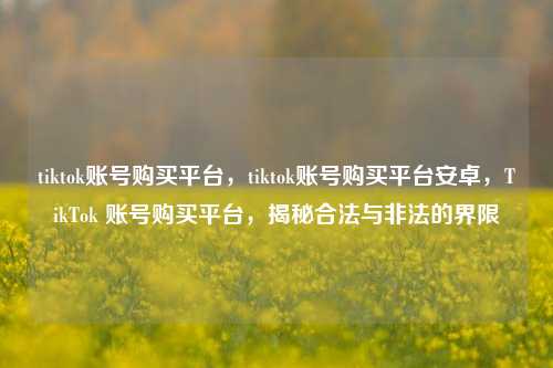 tiktok账号购买平台，tiktok账号购买平台安卓，TikTok 账号购买平台，揭秘合法与非法的界限
