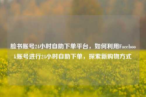 脸书账号24小时自助下单平台，如何利用Facebook账号进行24小时自助下单，探索新购物方式