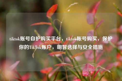 tiktok账号自护购买平台，tiktok帐号购买，保护你的TikTok账户，明智选择与安全措施