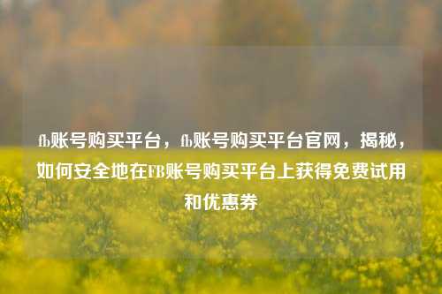 fb账号购买平台，fb账号购买平台官网，揭秘，如何安全地在FB账号购买平台上获得免费试用和优惠券