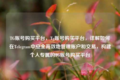 TG账号购买平台，Tg账号购买平台，详解如何在Telegram中安全高效地管理账户和交易，构建个人专属的TG账号购买平台