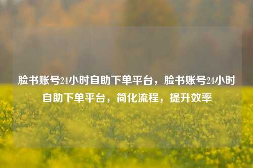 脸书账号24小时自助下单平台，脸书账号24小时自助下单平台，简化流程，提升效率